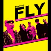 Best of Fly artwork