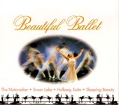 The Sleeping Beauty, Ballet, Op. 66: Pas d'action artwork
