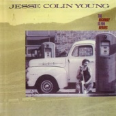 Jesse Colin Young - Dreams Take Flight