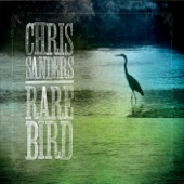 Chris Sanders - Blue Heron