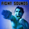 Fight Sound Effects, 2014
