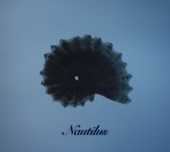 Nautiloid Matter, 2015