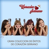 Olvídalo Corazón artwork