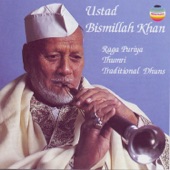 Speech: Ustad Bismillah Khan artwork