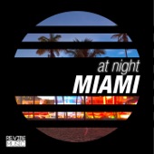 At Night - Miami artwork