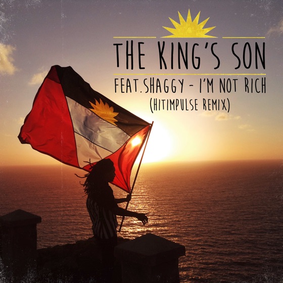 Cover artwork for I'm Not Rich (feat. Shaggy)