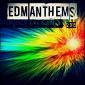 EDM Anthems 2015 (51 Top Dance Hits Wonderland Beach Party Anthem Big Party) artwork