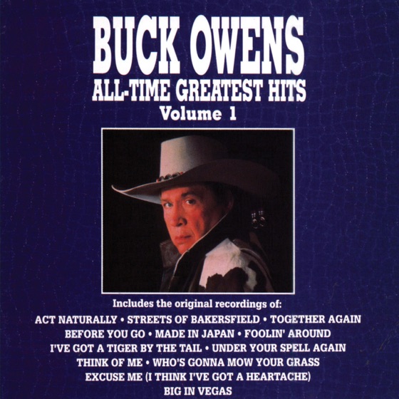 Cover artwork for Big In Vegas
