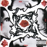 Red Hot Chili Peppers - Under the Bridge