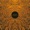 flashlight by Bonobo