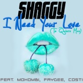 I Need Your Love (Te Quiero Mas) [feat. Mohombi, Faydee & Costi] artwork