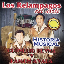 Los Relámpagos del Norte - Te Vas Ángel Mio