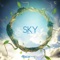 Sky (Radio Edit) artwork