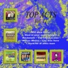 Top Acts Vol. 11 - EP