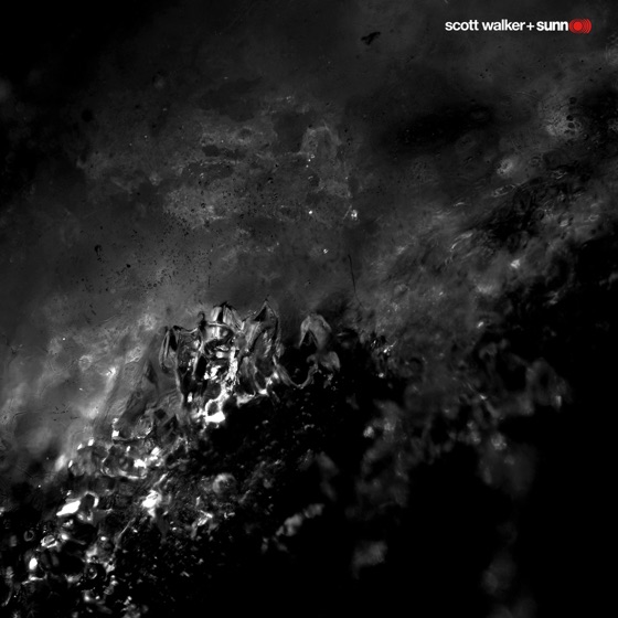 Cover artwork for Brando