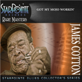 Knock on Wood (Re-Mastered) - The James Cotton Band