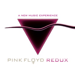 Pink Floyd Redux - Us And Them