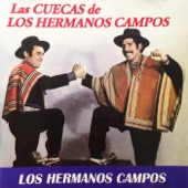 Las Cuecas de los Hermanos Campos artwork