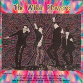 The Wilde Flowers - Memories
