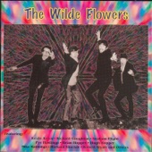 Memories by The Wilde Flowers