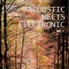 Acoustic Meets Electronic, Vol. 1 (Best Mix of Acoustic & Electronic Chill out and Chill House Tracks)