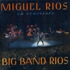Big Band Rios, 2010