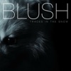 Blush - Until the End