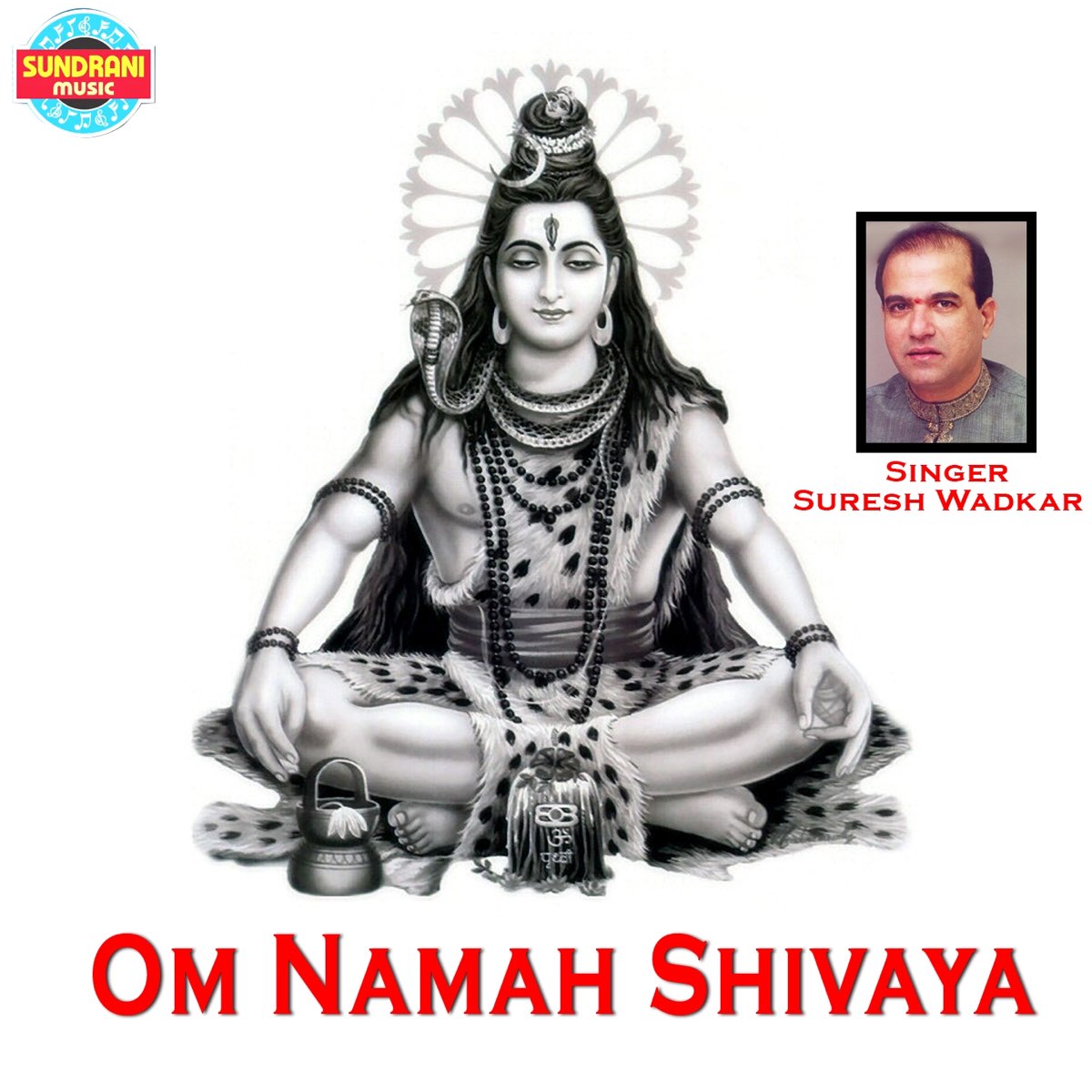 Om Namah Shivaya.