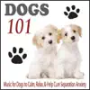 Dogs 101: Music for Dogs to Calm, Relax, & Help Cure Separation Anxiety album lyrics, reviews, download