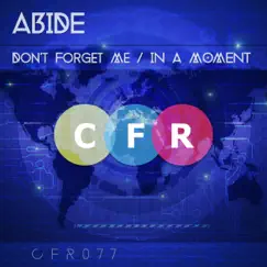 Don't Forget Me / in a Moment - Single by Abide album reviews, ratings, credits