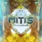 WildFlower - MitiS lyrics