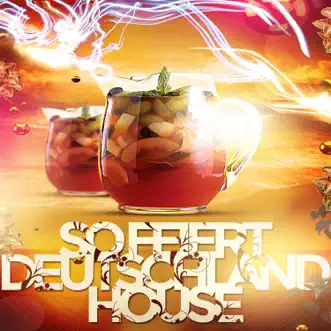 So feiert Deutschland House by Various Artists album reviews, ratings, credits