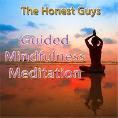 Guided Mindfulness Meditation - Single by The Honest Guys album reviews, ratings, credits