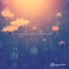 Flowerbomb (Single)