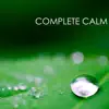 Complete Calm: Extremely Calming & Relaxing Piano Music for Relaxation Meditation and Stress Relief album lyrics, reviews, download