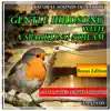 Gentle Birdsong with a Sparkling Stream: Natural Sounds of Nature: Bonus Edition album lyrics, reviews, download