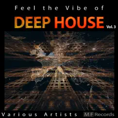 Feel the Vibe of Deep House, Vol. 3 by Various Artists album reviews, ratings, credits