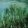 Blue Mountain - Skinny Dipping