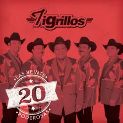 Las 20 Poderosas (USA) - Los tigrillos Las 20 Poderosas (USA) - Los tigrillos
