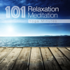 101 Relaxation, Meditation and Yoga Minutes, Songs for New Age Study, Deep Massage, Asian Zen Serenity, Baby Sleep - Serenity Music Ensamble