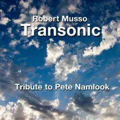 A Tribute to Pete Namlook (Live) [feat. Umar Ben Hassan] - Single by Transonic & Robert Musso album reviews, ratings, credits