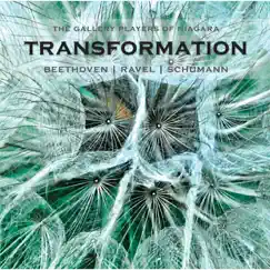 Transformation by The Gallery Players of Niagara album reviews, ratings, credits