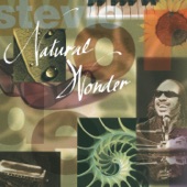 Stevie Wonder - Another Star