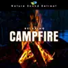 Relaxing Campfire: Gentle Flames and the Sounds of Nature for Peace and Relaxation album lyrics, reviews, download