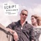 The Script (feat. Mandy Harvey) - Derek Amato lyrics