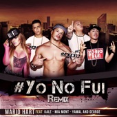 Yo No Fui (feat. Kale, Mia Mont & Yamal and George) [Remix] artwork