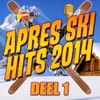 Apres Ski Hits 2014 (deel 1)