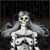 Nachtmystium - Ghosts of Grace