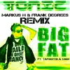 Big Fat (Markus H & Frank Degrees Remix) [feat. Tarantula Man] - Single album lyrics, reviews, download