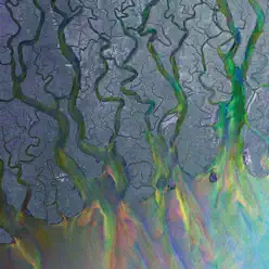 An Awesome Wave - Alt-J